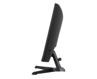 IIYAMA G-Master G2471HS-B1 Red Eagle - 1370358 - zdjęcie 4